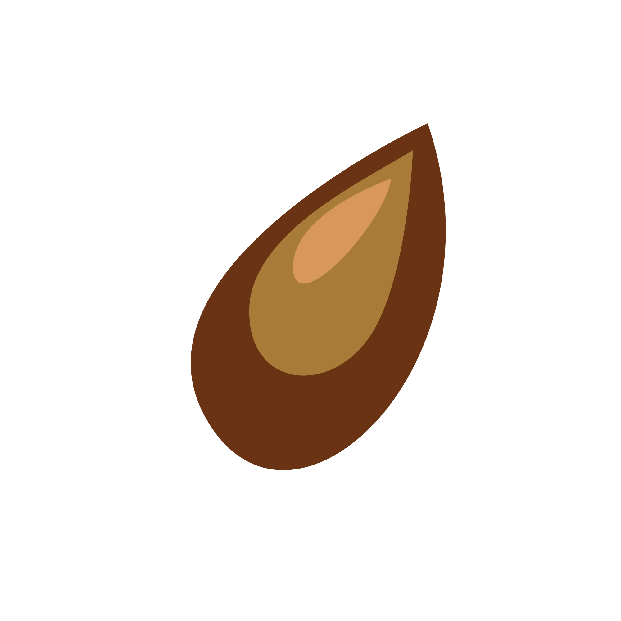Seed 種をまく