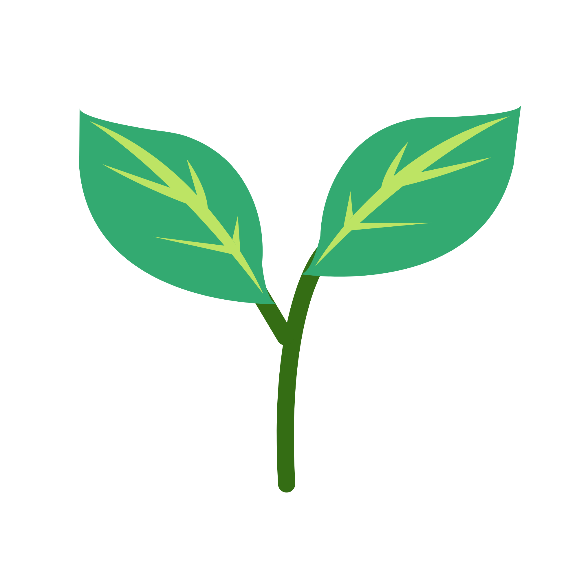 Sprout 芽が出る